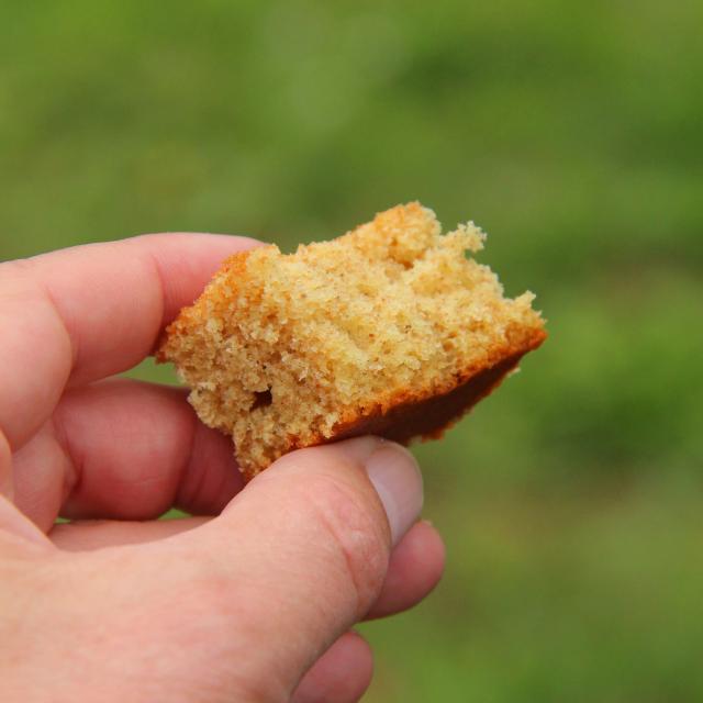 Gateau Safran Dégustation Terre De Safran Roquevaire Oti Aubagne