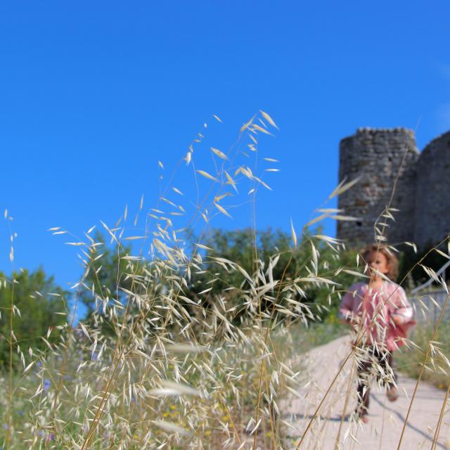 Nature Chateau Peypin Oti Aubagne