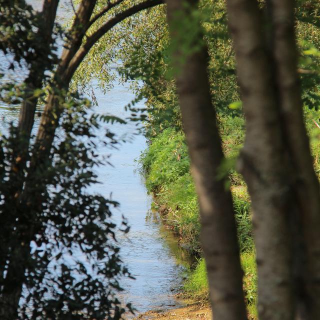 Nature Eau La Penne Sur Huveaune Oti Aubagne