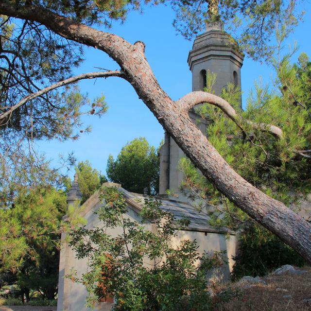 Saint Antoine Cuges Les Pins Oti Aubagne