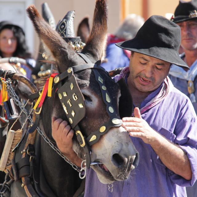 Ane Cavalcade Beaudinard Aubagne Oti Aubagne