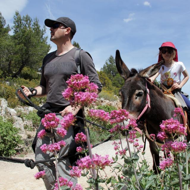 Anes Balade Fleurs Garlaban La Font De Mai Oti Aubagne