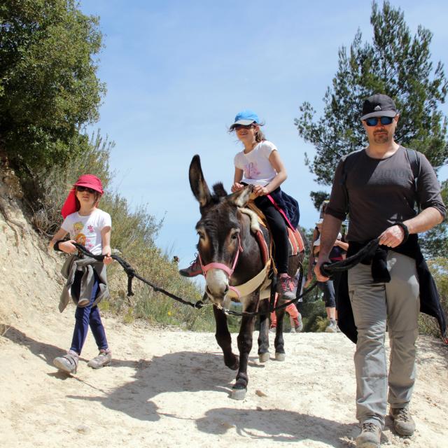 Anes Balade Sentier Garlaban La Font De Mai Oti Aubagne