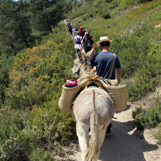 Anes Balades Randonnées Garlaban La Font De Mai Oti Aubagne