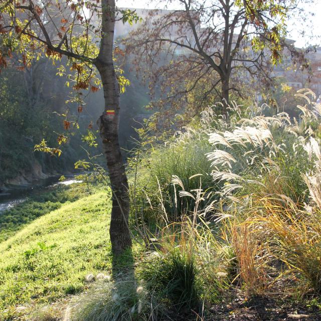 Arbres Huveaune Nature Oti Aubagne