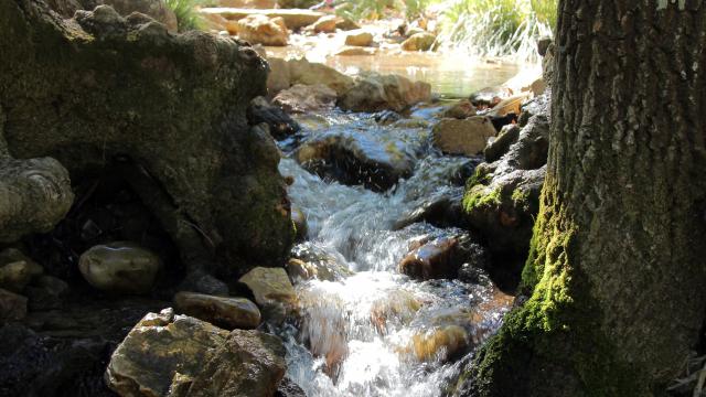 Balade Famille Source Des Nayes Eau Peyruis Sainte Baume Oti Aubagne