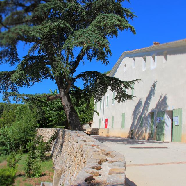 Cedre Bastide Parvis Font De Mai Oti Aubagne