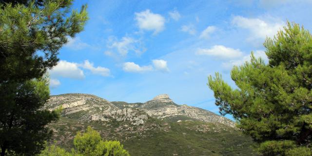 Cretes Panorama Arbres Garlaban Massif De L'etoile Nature Oti Aubagne