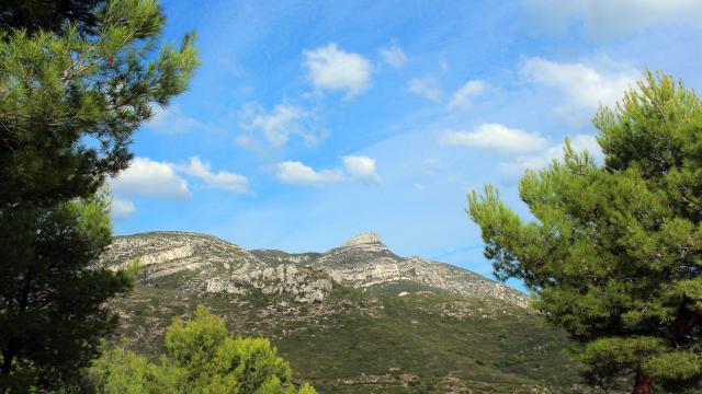 Cretes Panorama Arbres Garlaban Massif De L'etoile Nature Oti Aubagne