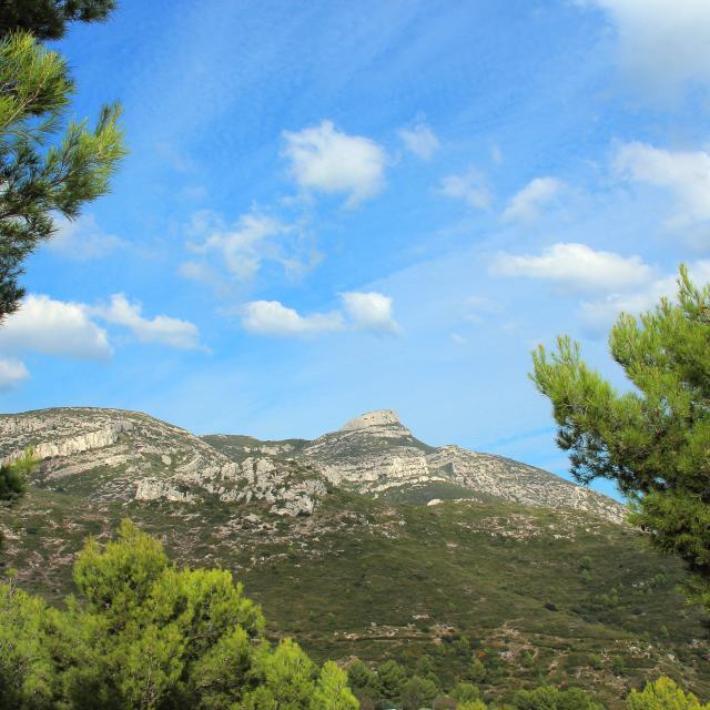 Cretes Panorama Arbres Garlaban Massif De L'etoile Nature Oti Aubagne