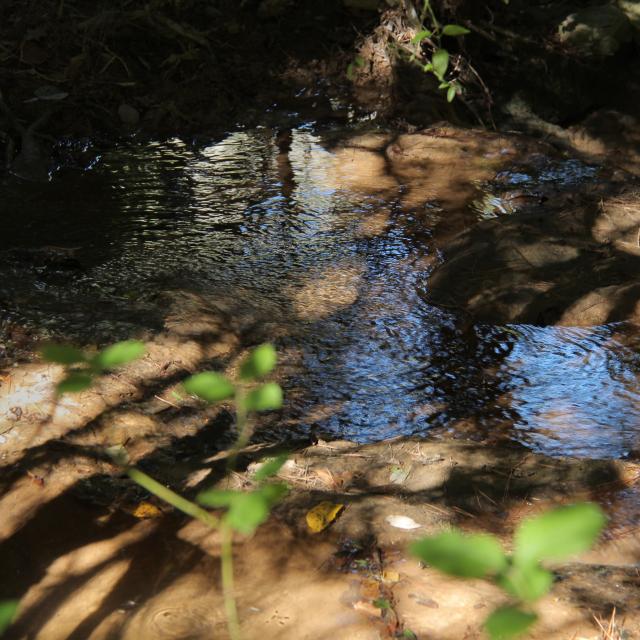 Eau Nature Sainte Baume Oti Aubagne