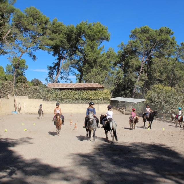 Equitation Centre Equestre La Provence A Cheval Oti Aubagne