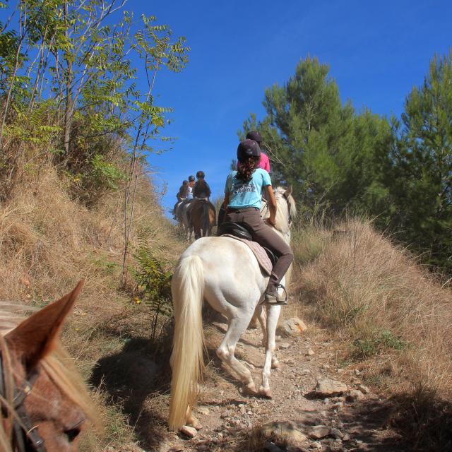 Equitation Cheval Balade La Provence A Cheval Oti Aubagne