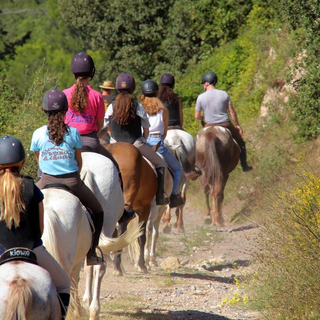 Equitation Chevaux Balade Promenade La Provence A Cheval Oti Aubagne