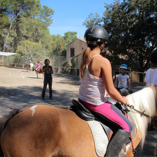 Equitation Cours La Provence A Cheval Oti Aubagne