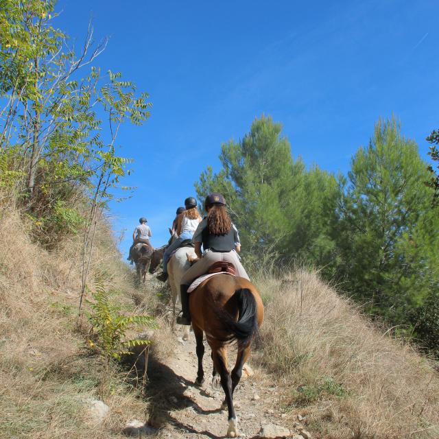 Equitation Garrigue Balade La Provence A Cheval Oti Aubagne