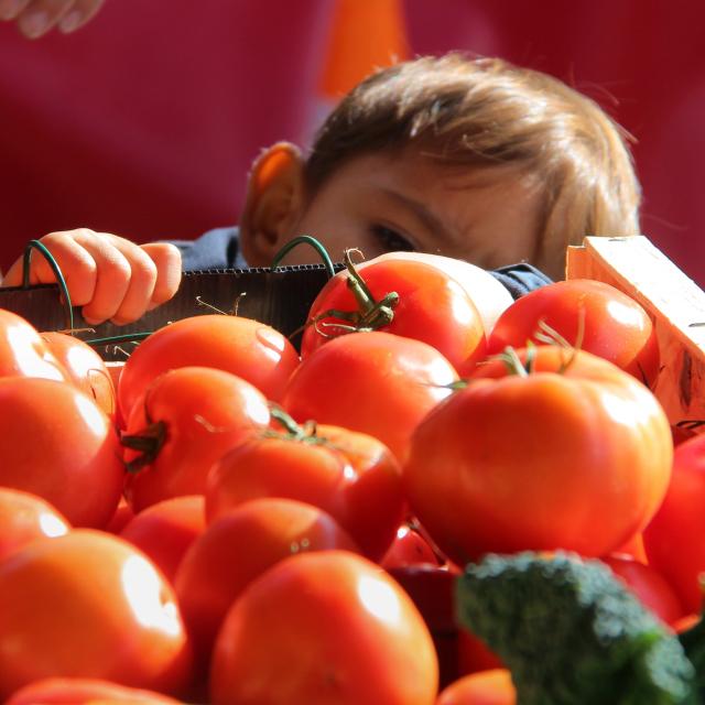 Etal Tomates Marche Provence Oti Aubagne