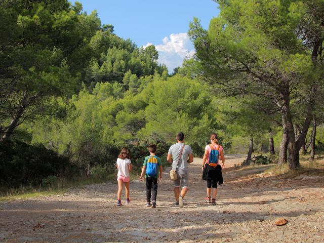 Famille Randonneurs Sentier Pins Oti Aubagne