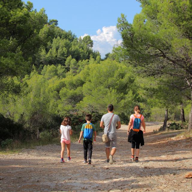 Famille Randonneurs Sentier Pins Oti Aubagne