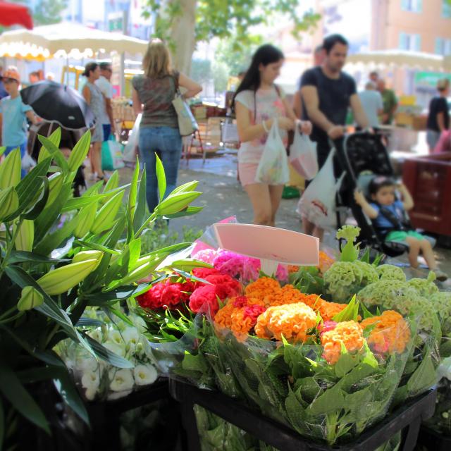 Fleurs Famille Marche Auriol Oti Aubagne