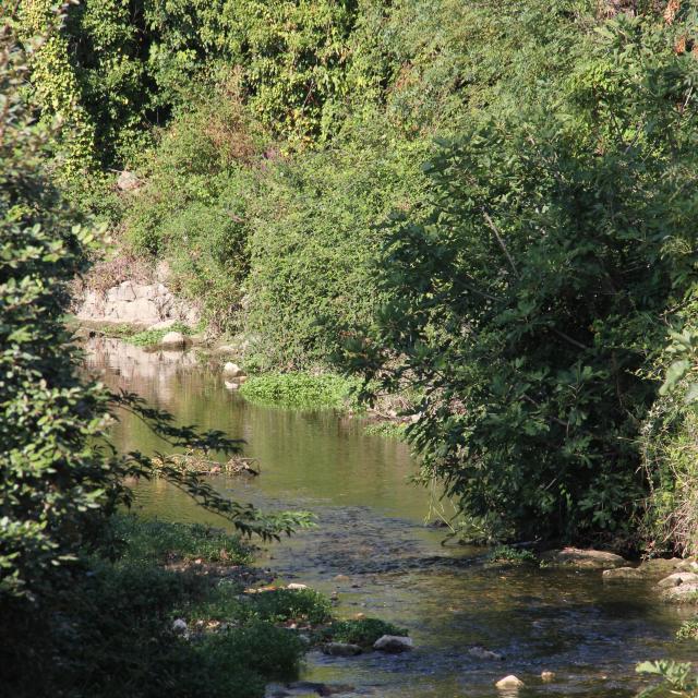 Fleuve Huveaune Nature Oti Aubagne