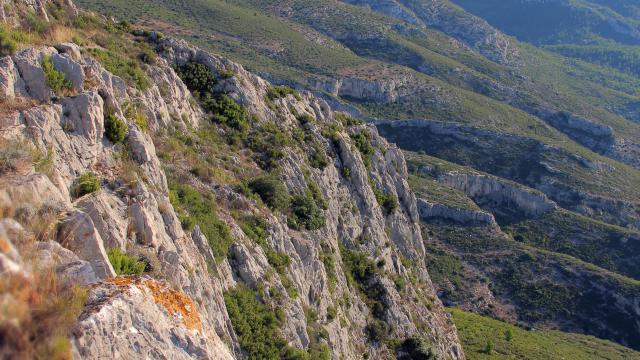 Garrigue Collines Massif De L'etoile Nature Oti Aubagne