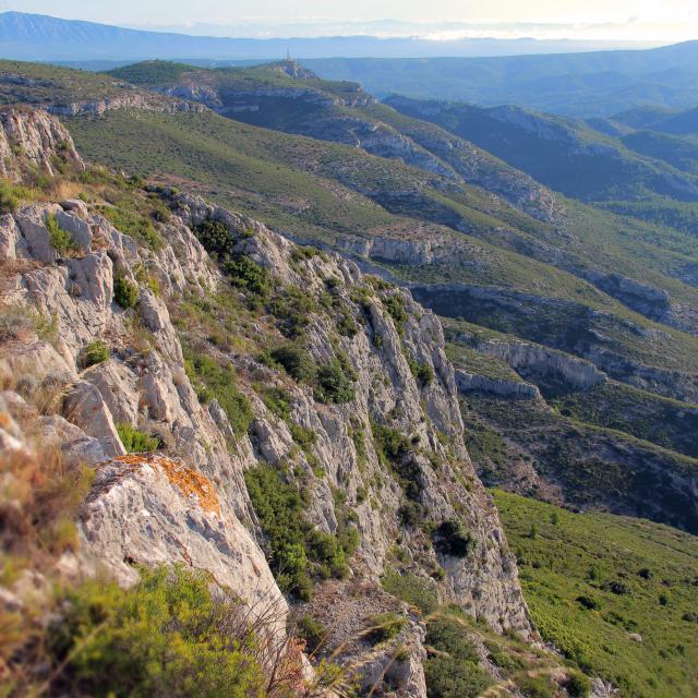 Garrigue Collines Massif De L'etoile Nature Oti Aubagne