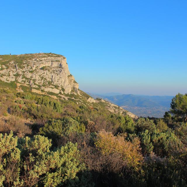 Garrigue Garlaban Sommet Nature Massif De L'etoile Provence Oti Aubagne