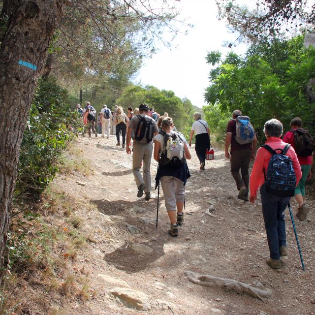 Massif Etoile Nature Randonneurs Randonnee Pagnol Oti Aubagne