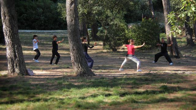 Qi Gong Exercices Activite La Font De Mai Oti Aubagne