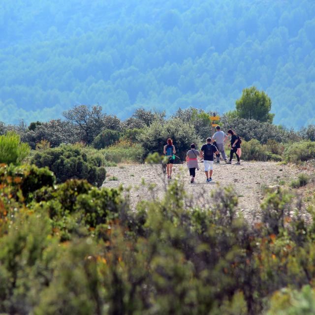 Randonneurs Sentiers Massif De L'etoile Nature Oti Aubagne