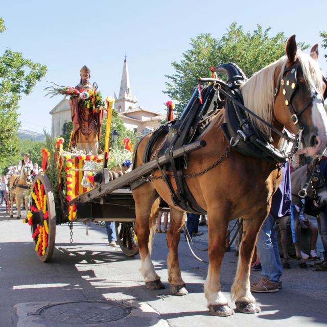 Saint Eloi Cavalcade Tradition Cuges Les Pins Oti Aubagne