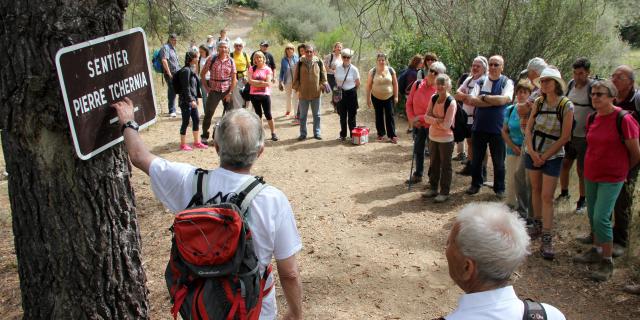 Sentier Pierre Tchernia Randonnee Pagnol Garlaban Oti Aubagne