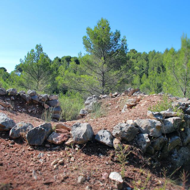 Sentier Pierres Pins Nature Oti Aubagne