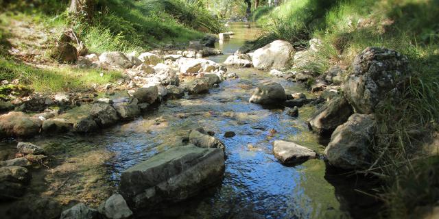 Source Des Nayes Eau Sainte Baume Oti Aubagne