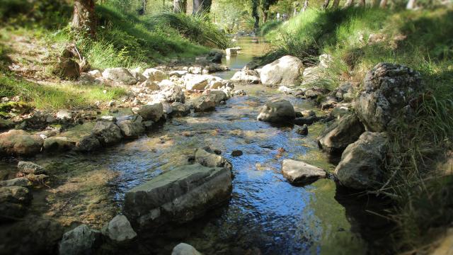 Source Des Nayes Eau Sainte Baume Oti Aubagne