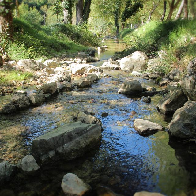 Source Des Nayes Eau Sainte Baume Oti Aubagne