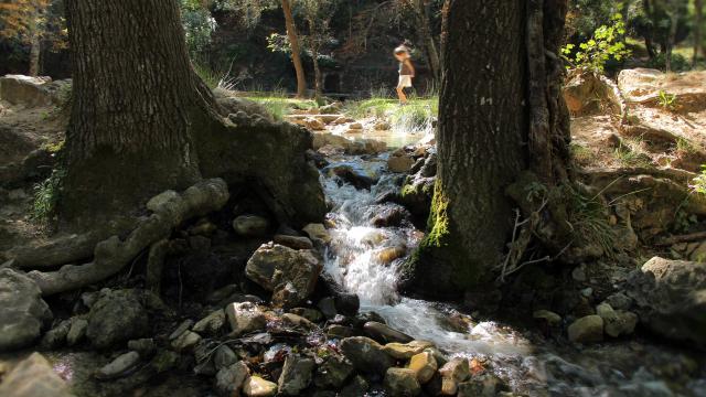 Source Des Nayes Famille Eau Peyruis Saint Zacharie Oti Aubagne