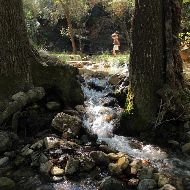 Source Des Nayes Famille Eau Peyruis Saint Zacharie Oti Aubagne