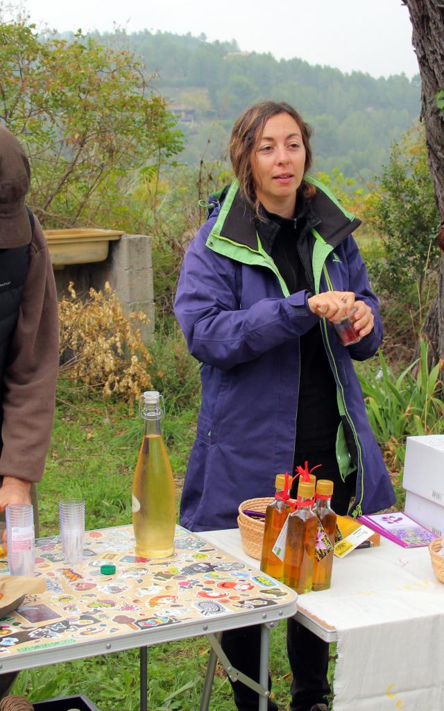 Visite Degustation Terre De Safran Roquevaire Oti Aubagne