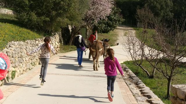 Anes Balade Location Domaine De La Font De Mai Oti Aubagne