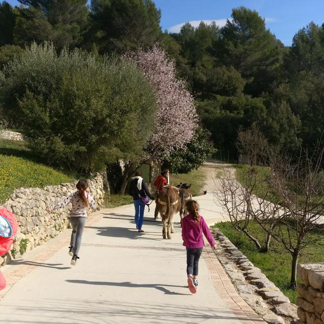 Anes Balade Location Domaine De La Font De Mai Oti Aubagne