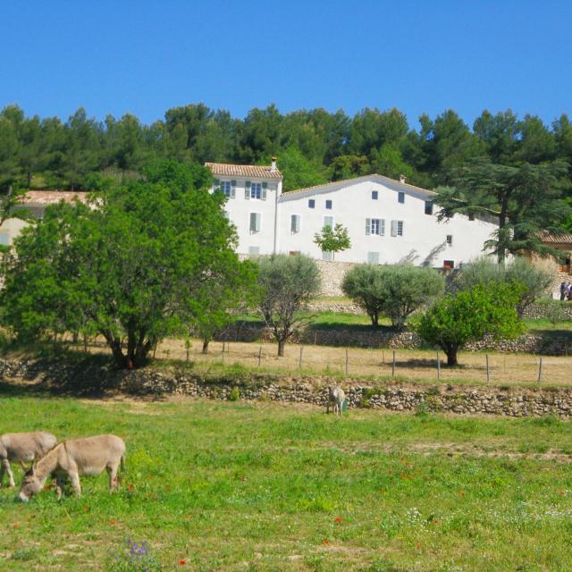 anes-font-de-mai-pre-oti-aubagne.jpg