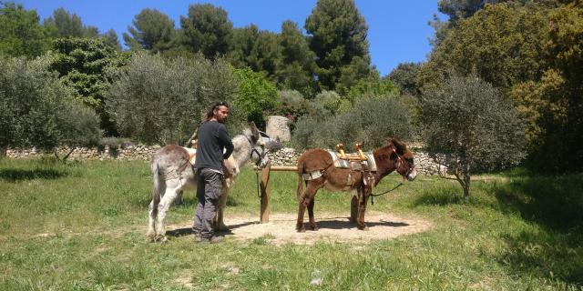 Anier Anes La Font De Mai Balade Oti Aubagne