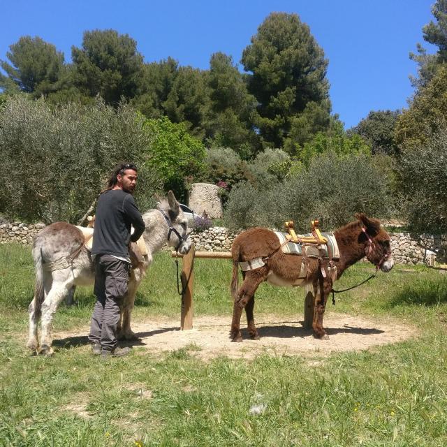 Anier Anes La Font De Mai Balade Oti Aubagne