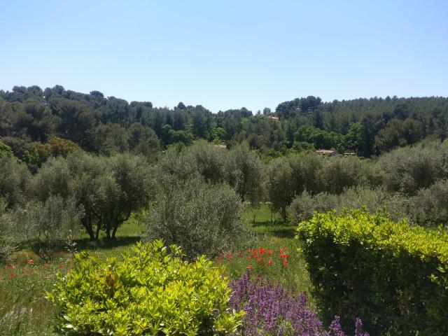 Flore Oliviers Plantes Domaine De La Font De Mai Oti Aubagne