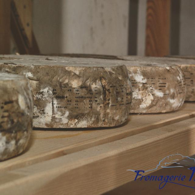 fromages-fromagerie-bellon-oti-aubagne-scaled.jpg