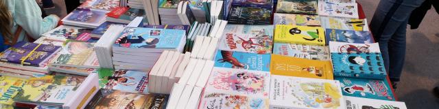 Grains de sel - Festival du livre pour enfant