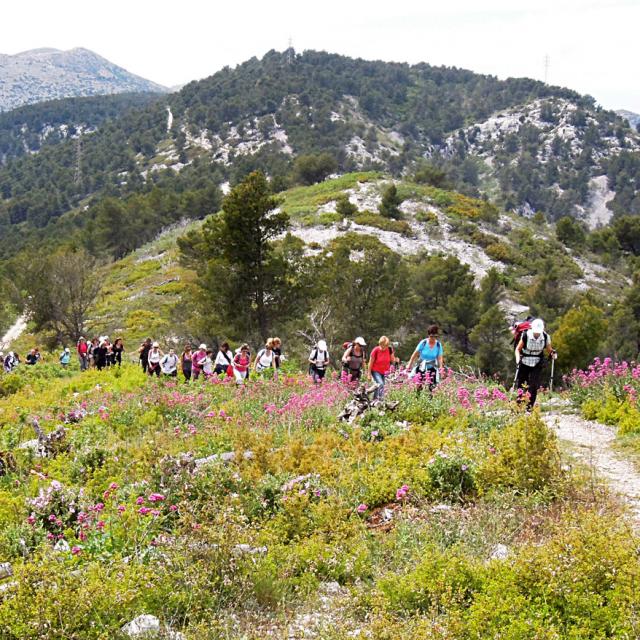 la-candolle-chaine-de-saint-cyr-la-penne-sur-huveaune-oti-aubagne.jpg