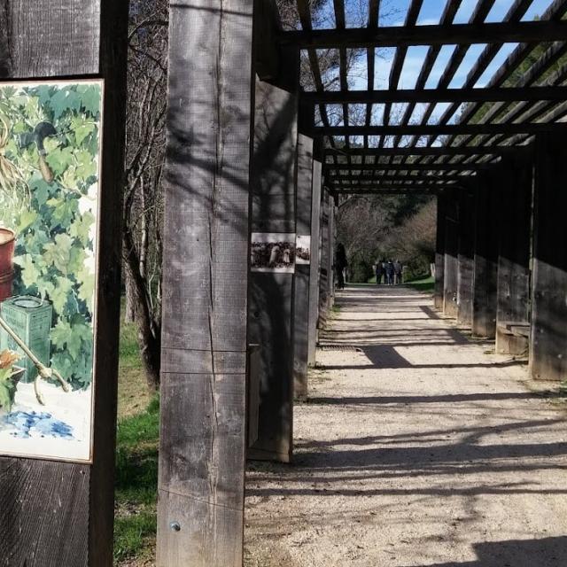 Pergola Sentier D'interpretation Font De Mai Oti Aubagne